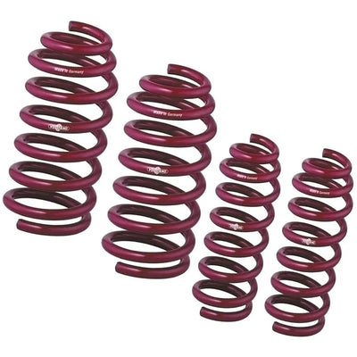 Vogtland Springs 957047 for Honda Accord CU1 - CU2 - CU3