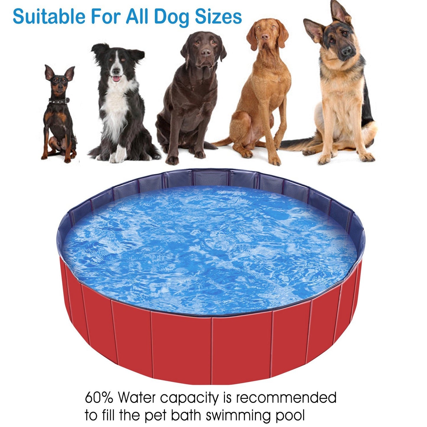 Piscina para Mascotas Plegable de PVC iMounTEK