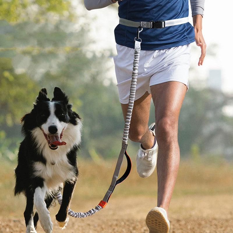 Correa para Perros de Aventura al Aire Libre Definitiva