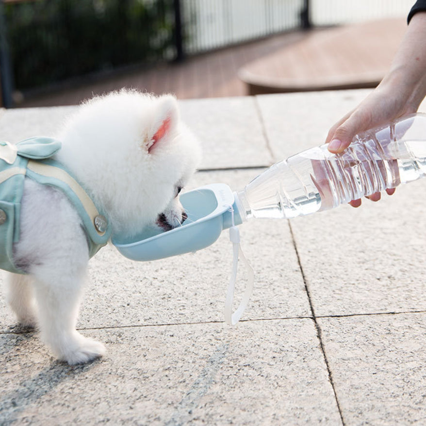 Bouteille d'eau portable Teddy pour animaux de compagnie