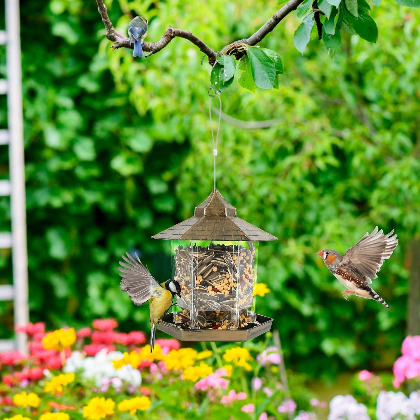Comedero para Aves Silvestres en Forma de Gazebo Colgante con Gran Capacidad