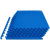 ProsourceFit 0.75" Exercise Puzzle Mat for Versatile Flooring