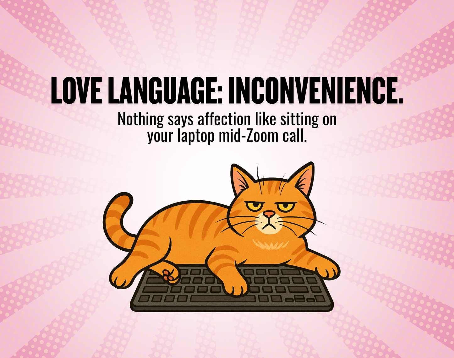 Catsplaining the Year – 2026 Funny Cat Calendar