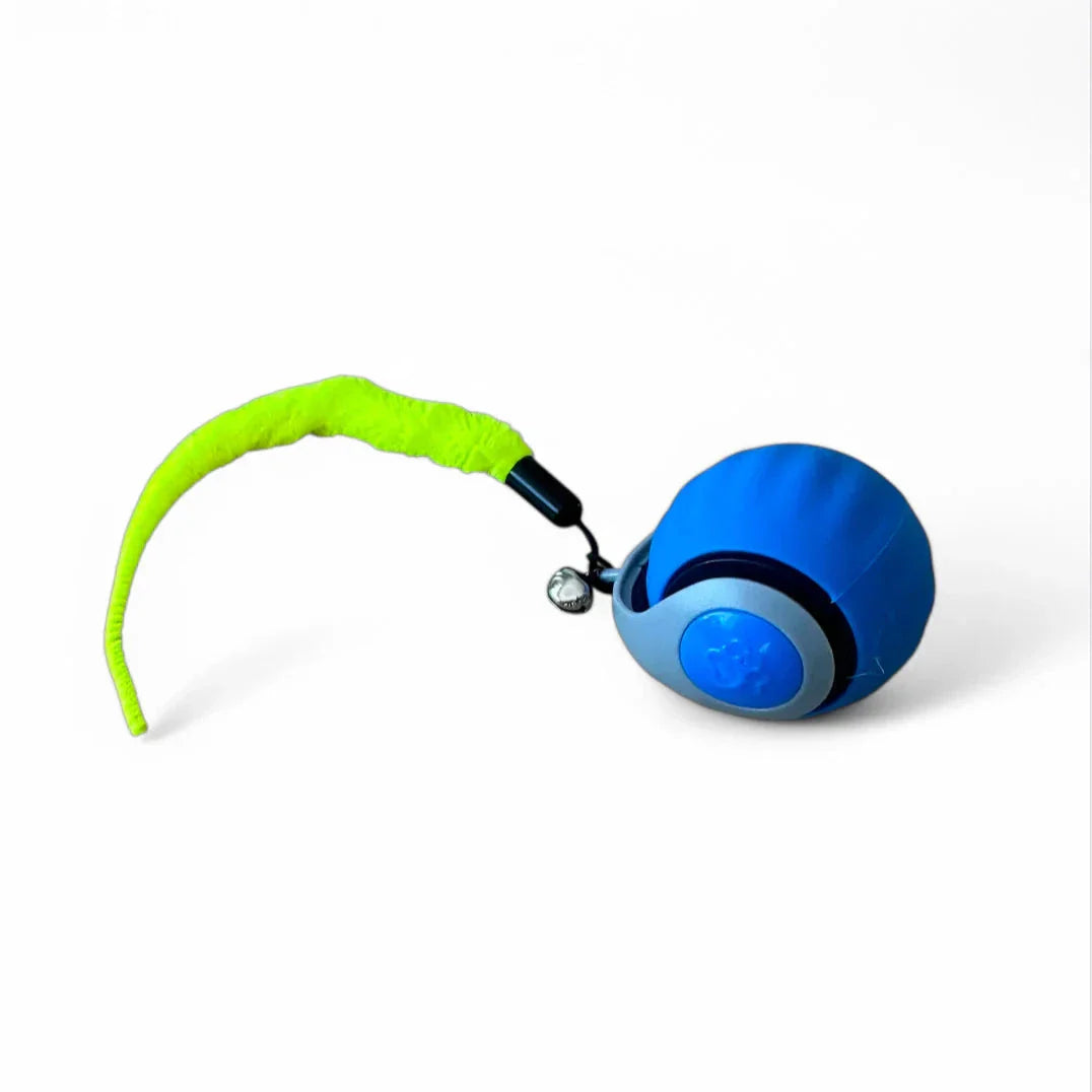 Flap Cat Ball - Korvel