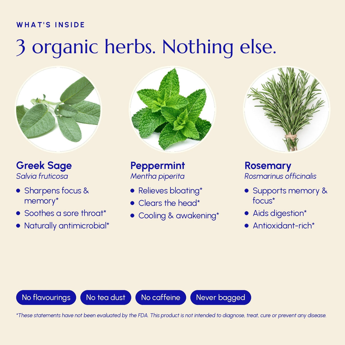 Té Focus: mezcla de hierbas griegas de salvia, menta y romero