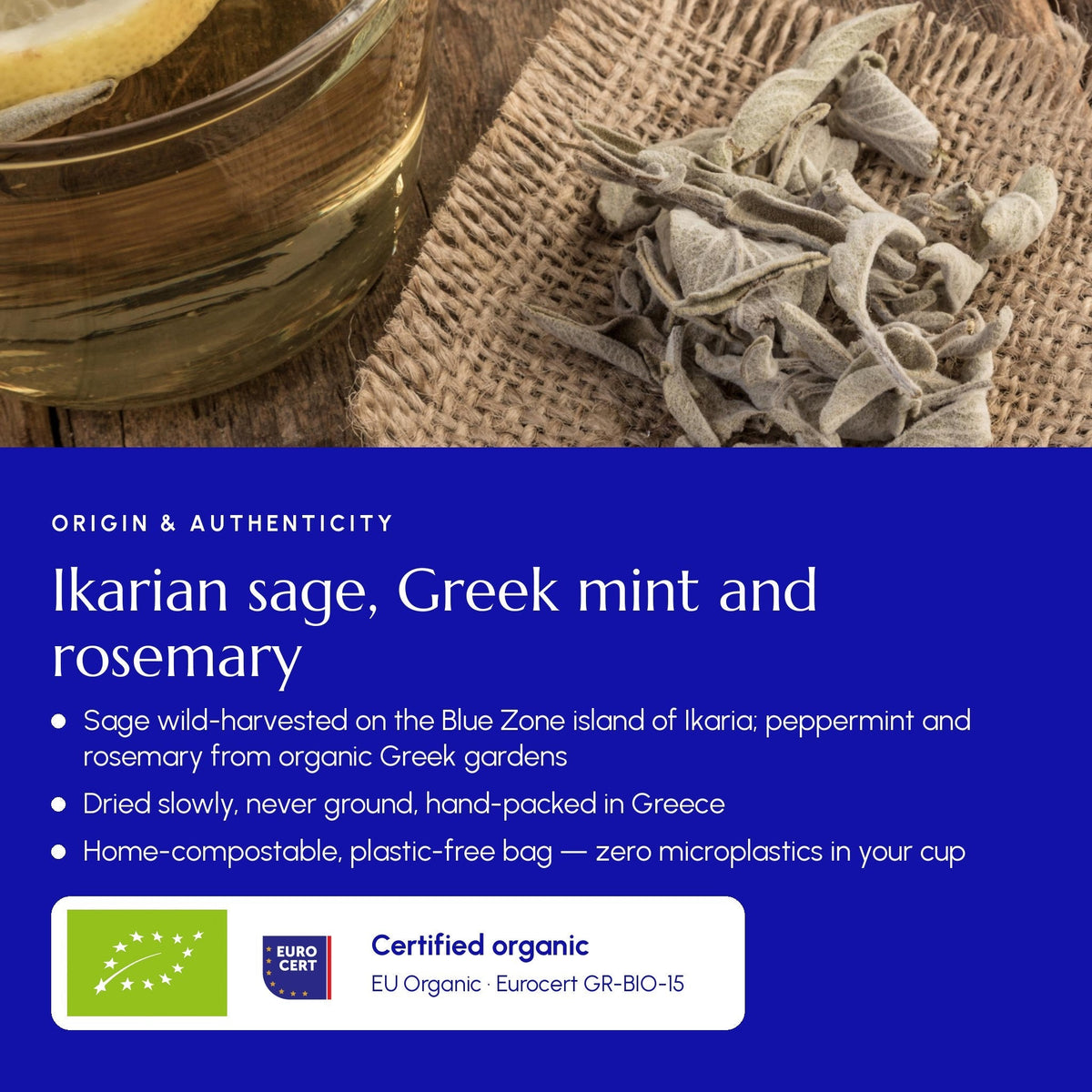 Té Focus: mezcla de hierbas griegas de salvia, menta y romero