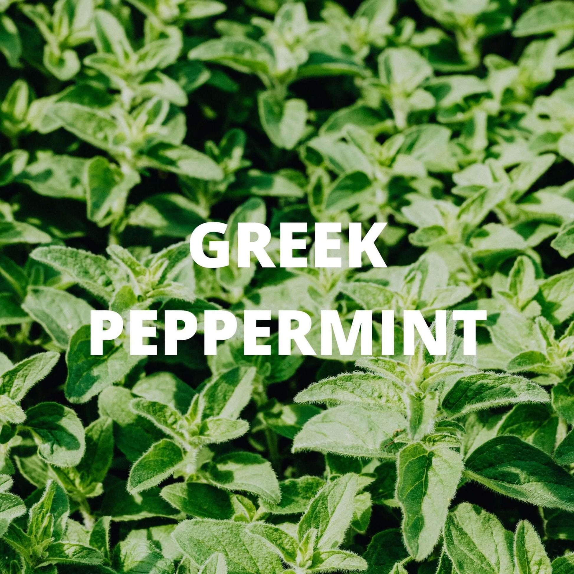 Digestion Tea – Dittany of Crete, Peppermint & Rosemary (Greek Herbal Blend) - Korvel