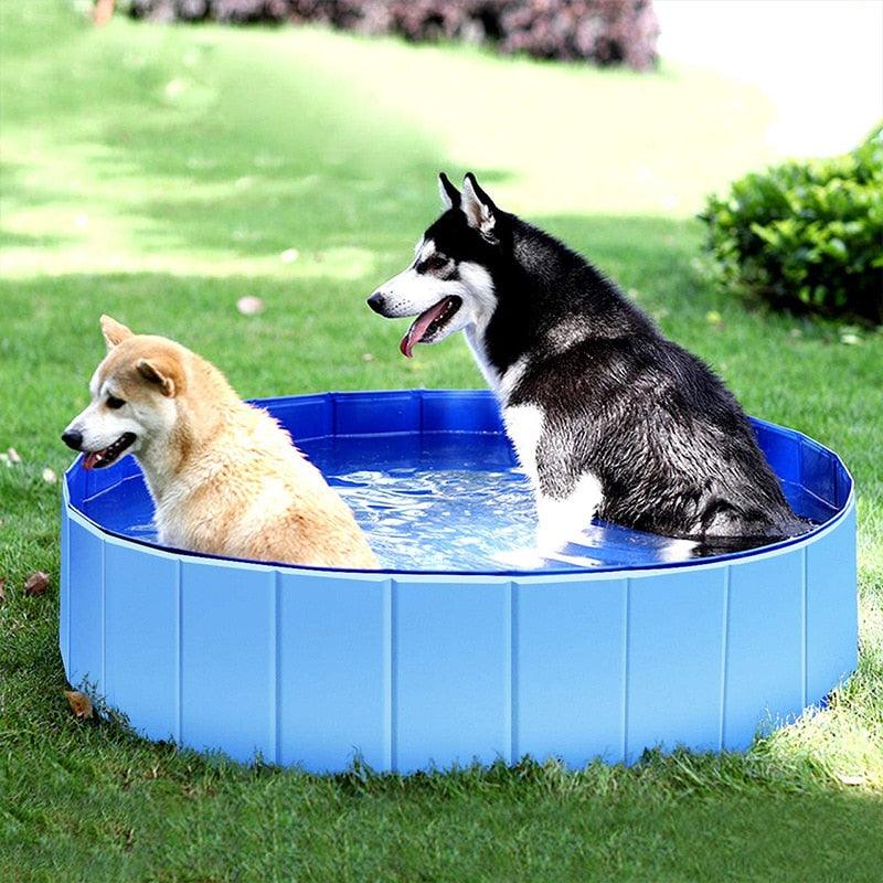 Piscina Plegable para Baño de Mascotas para Perros y Gatos - Diversión al Aire Libre