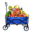 Premium Folding Wagon Garden Shopping Beach Cart - Blue