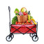 Folding Wagon Garden Shopping Beach Cart (Red) - Korvel
