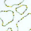 Collar de piedra preciosa de ámbar del mar Báltico crudo y fluorita
