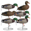 Full Body Mallard Decoys - 6 Pack
