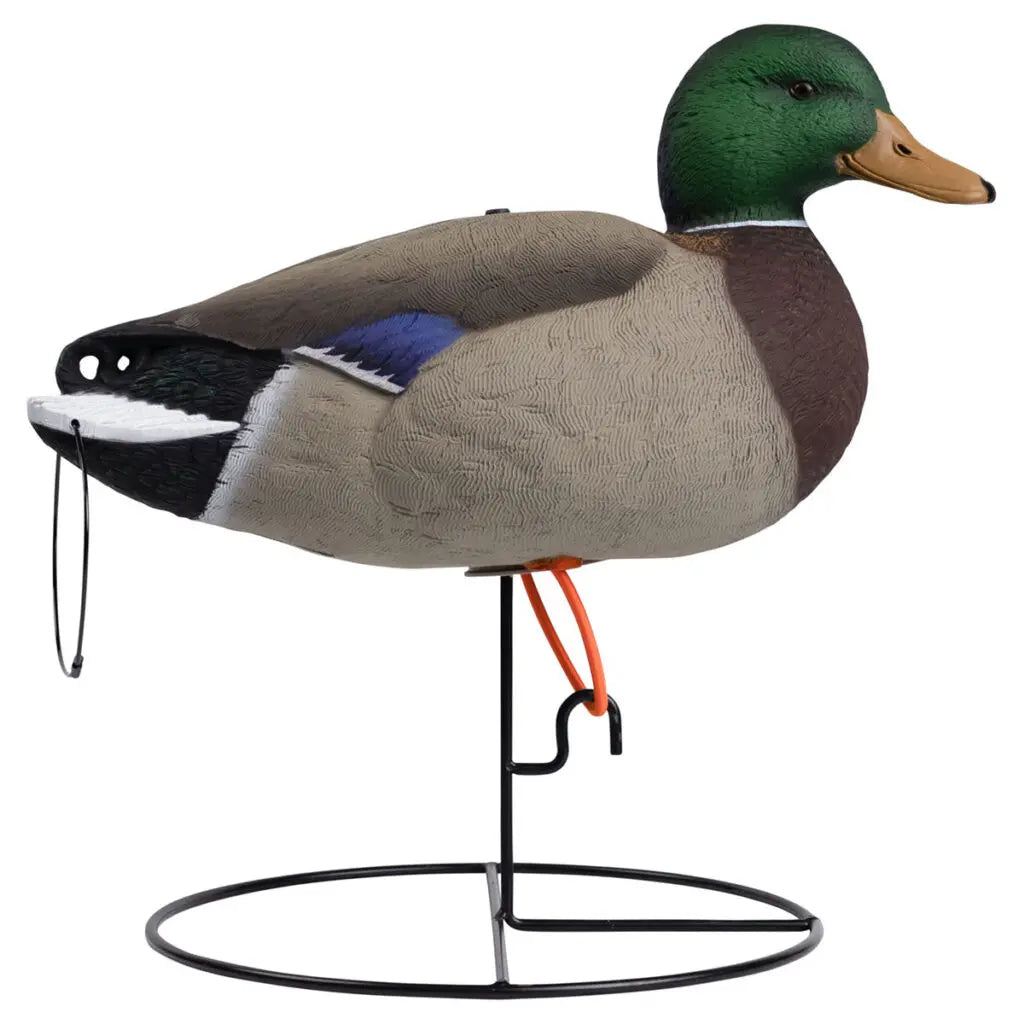 Full Body Mallard Decoys - 6 Pack