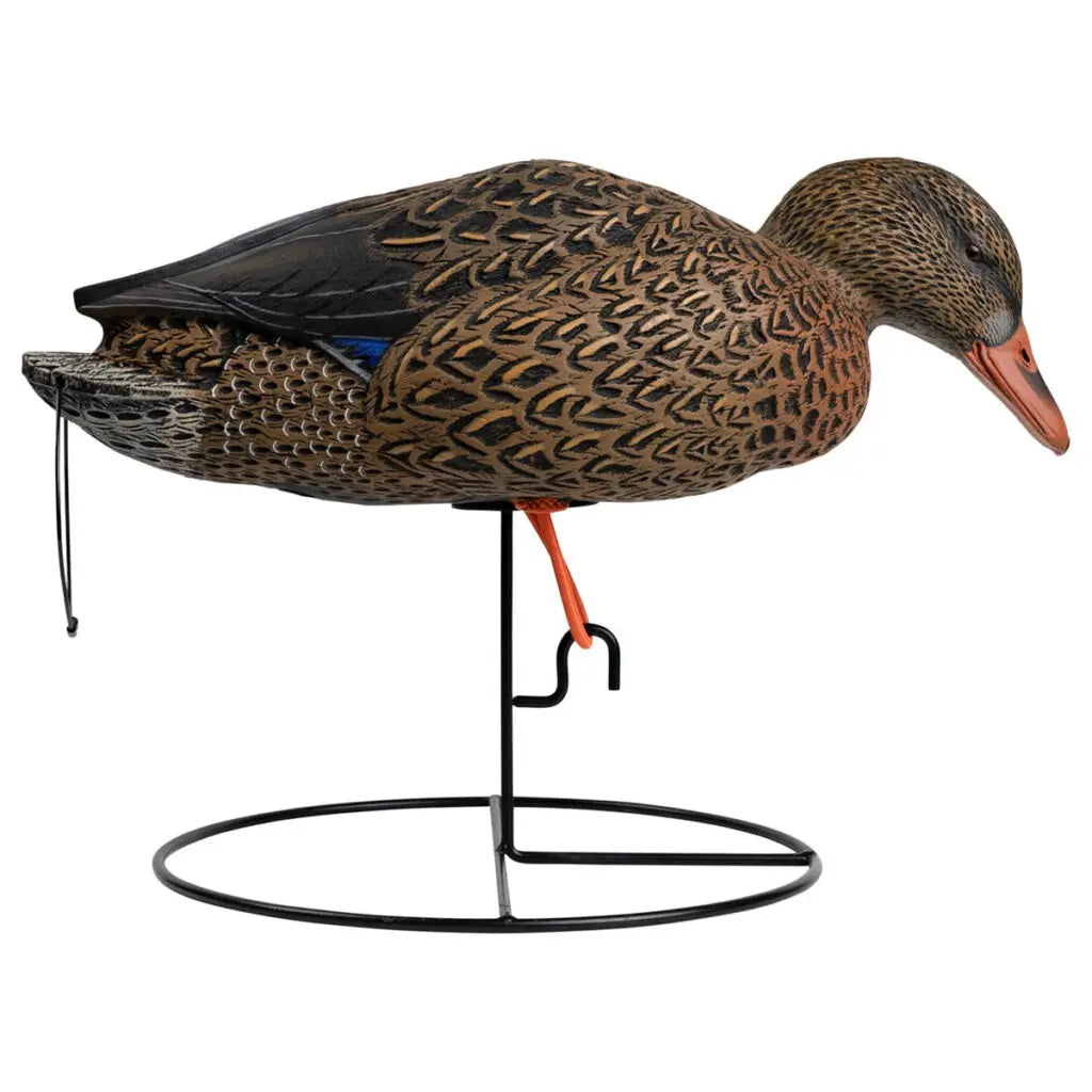 Full Body Mallard Decoys - 6 Pack