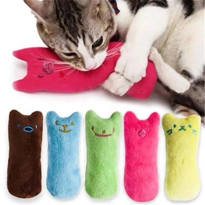 Colorful Catnip Chew Toys for Playful Kittens