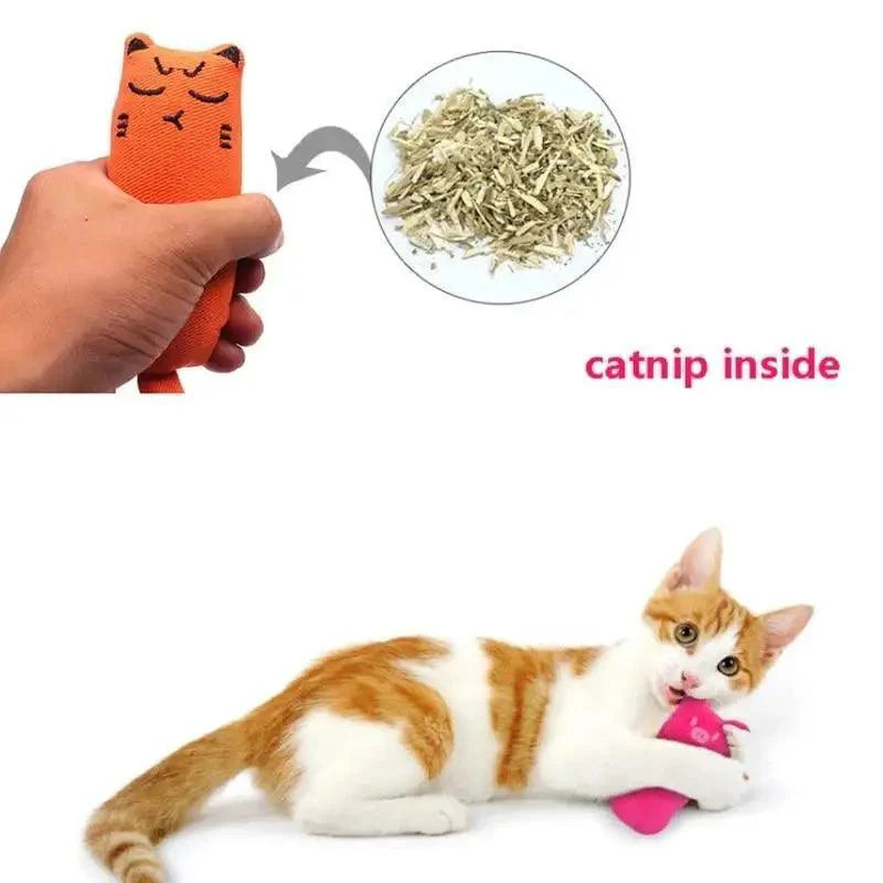 Jouets à mâcher colorés à la cataire pour chatons joueurs