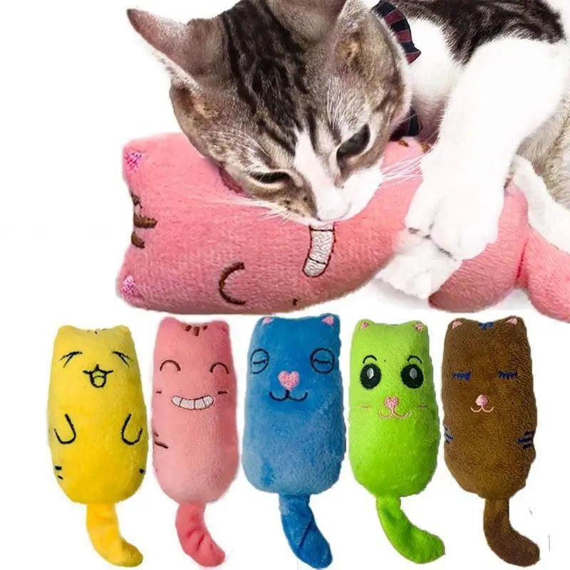 Jouets à mâcher colorés à la cataire pour chatons joueurs