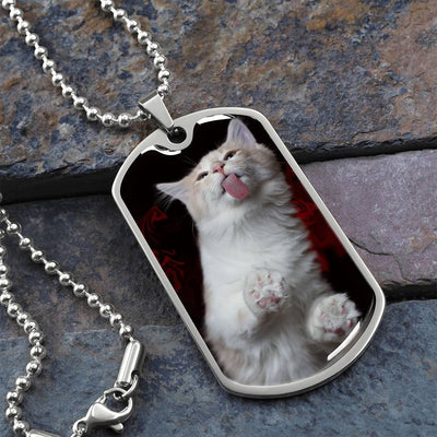 Collar Fuzzy Kitty