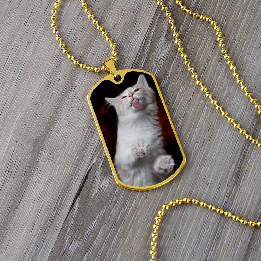 Collar Fuzzy Kitty