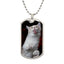 Collar Fuzzy Kitty