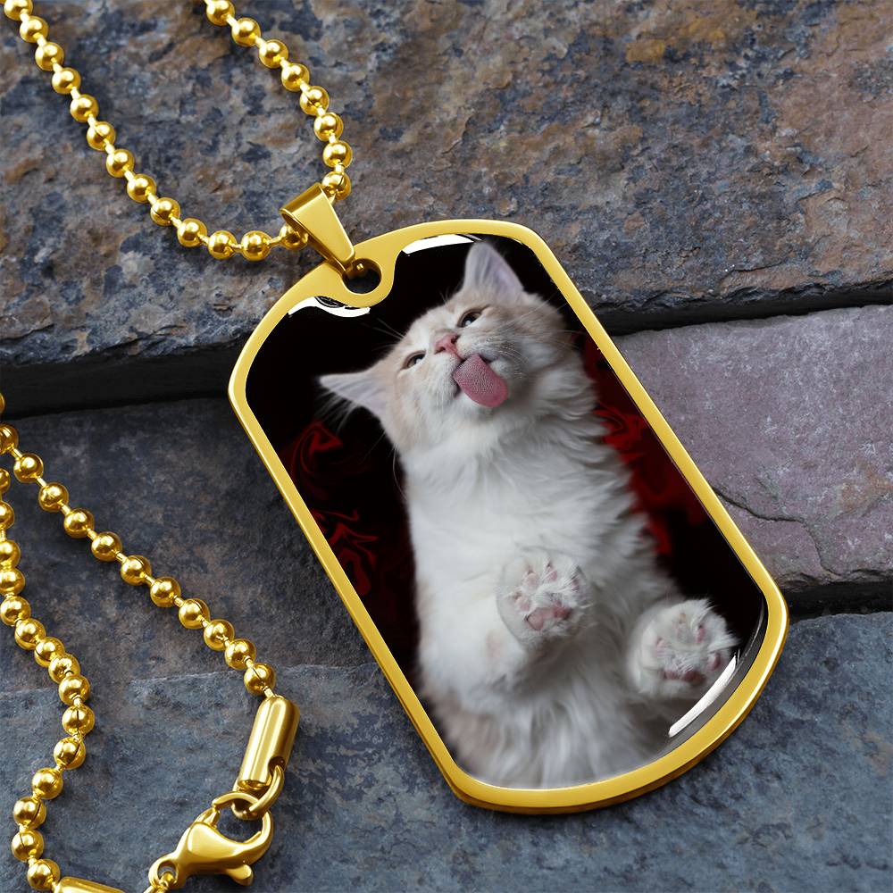 Collar Fuzzy Kitty