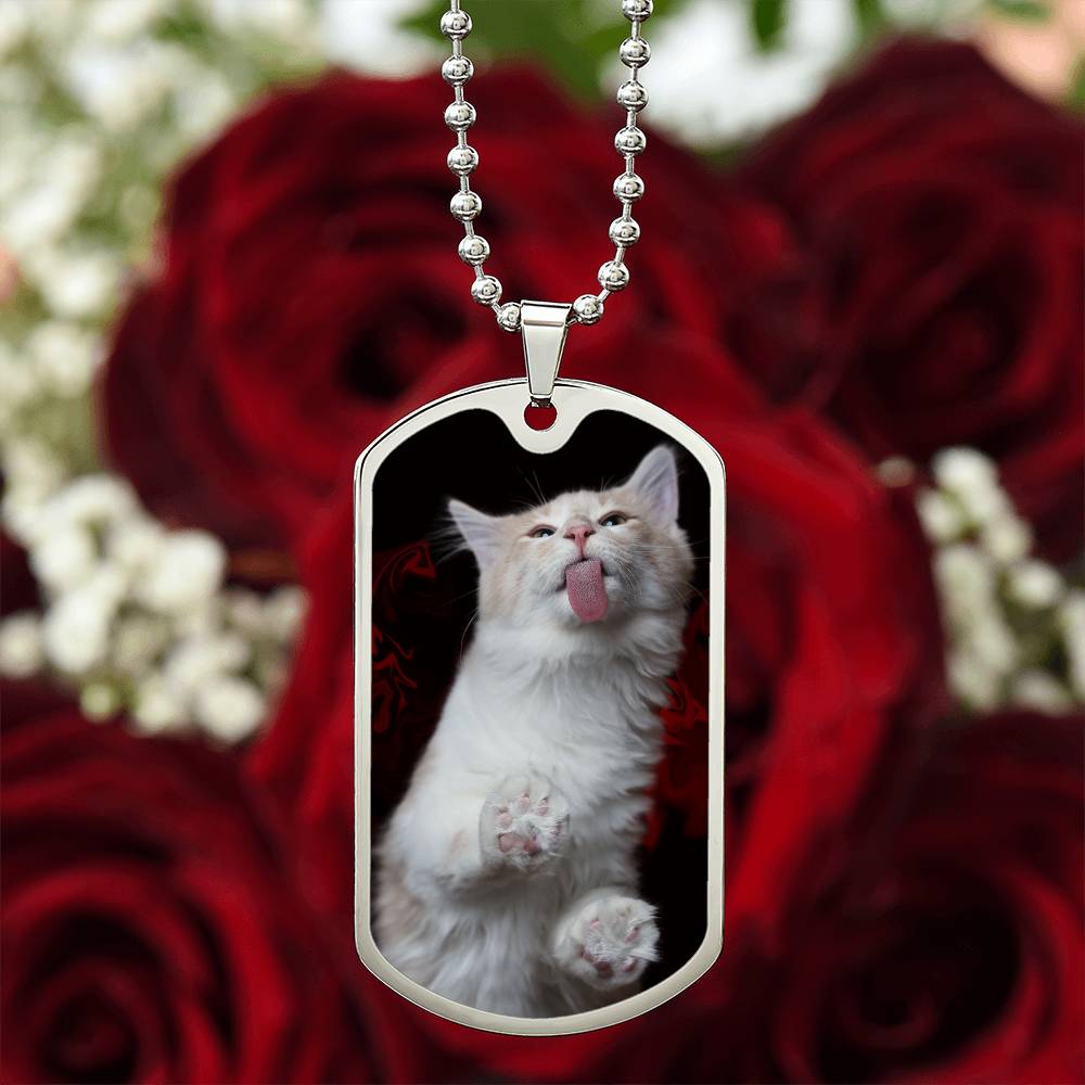 Collar Fuzzy Kitty