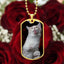 Collar Fuzzy Kitty