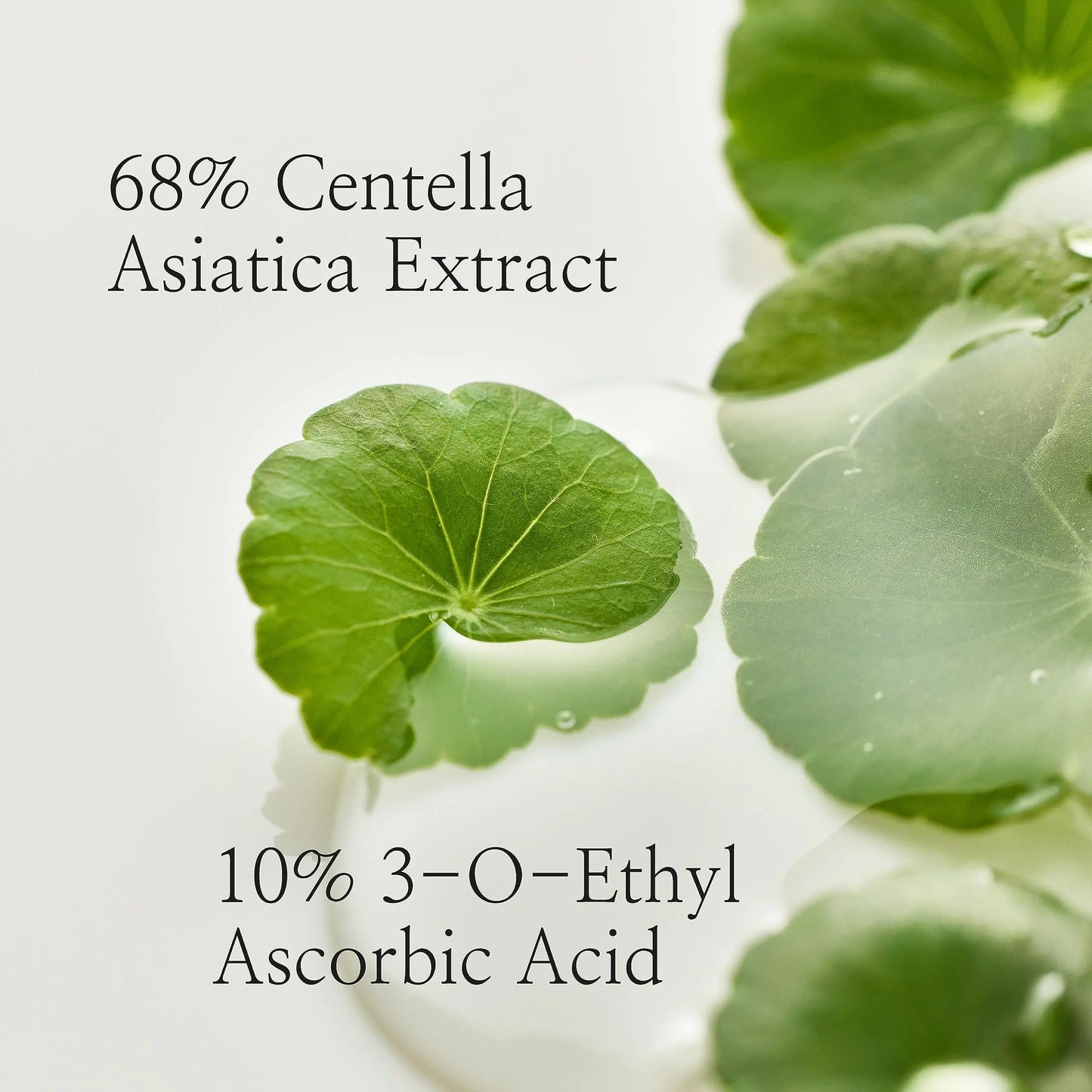 Beauty of Joseon Light On Serum - Vitamin C & Centella