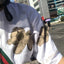 T-shirt à manches courtes avec imprimé cartoon d'ours coréen