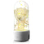 Lumière LED Bouquet 2-en-1 Créative et Haut-Parleur Bluetooth