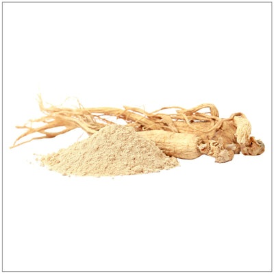 Premium Ginseng Root Powder
