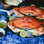 Crabe Dungeness Entier Cuit Premium - Prêt à Déguster