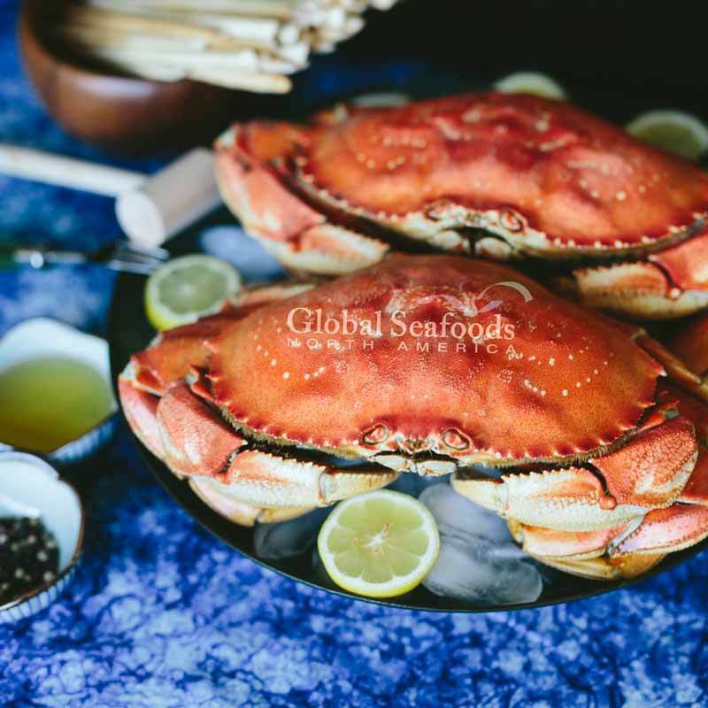 Crabe Dungeness Entier Cuit Premium - Prêt à Déguster