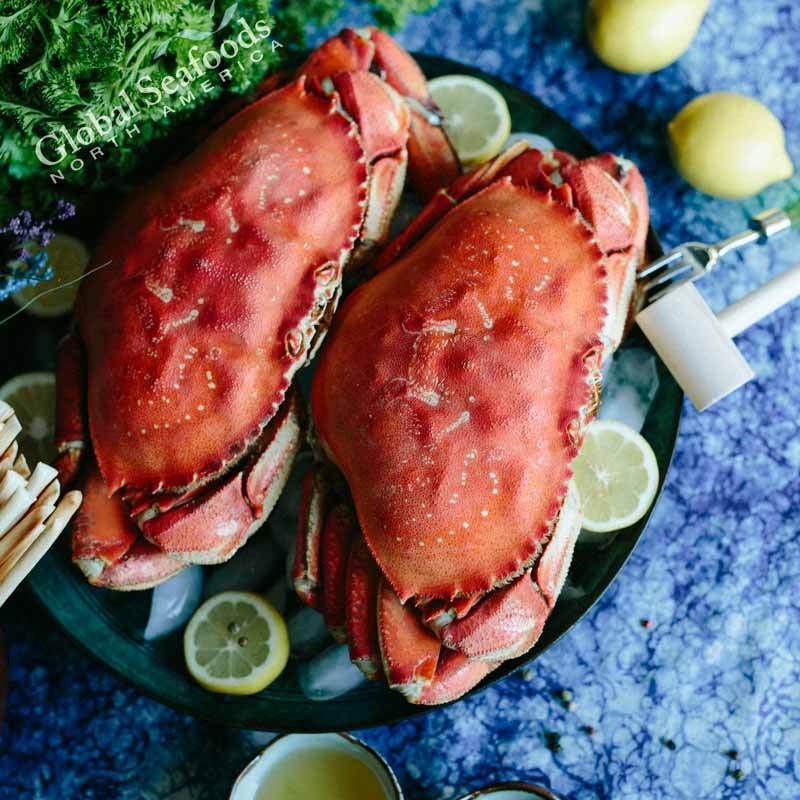 Crabe Dungeness Entier Cuit Premium - Prêt à Déguster