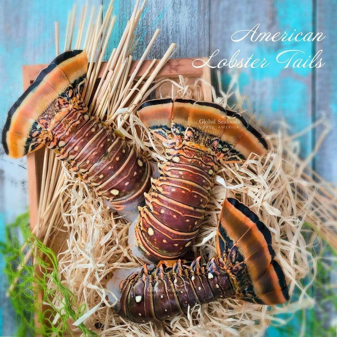 Queues de homard des Caraïbes - 5 lbs