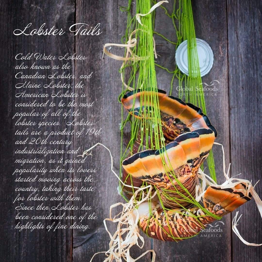Queues de homard des Caraïbes - 5 lbs