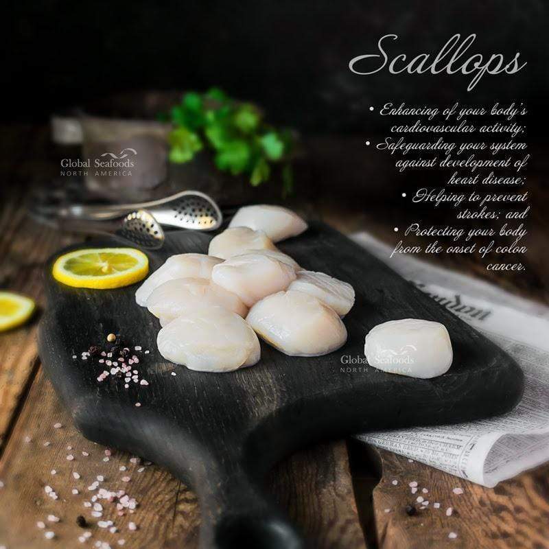 Coquilles Saint-Jacques Jumbo Sauvages de Qualité Supérieure