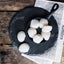 Coquilles Saint-Jacques Jumbo Sauvages de Qualité Supérieure