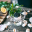 Caviar de Sturgeon de Californie - Caviar de Sturgeon Blanc Premium