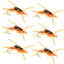 Premium Tungsten Bead Kaufmann's Golden Stone Fly Nymphs - Set of 6 Size 10 with Rubber Legs - Korvel