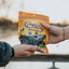 Ultimate Grasshopper Catfish Bait for Unmatched Fishing Success - Korvel