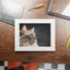 Impresión de Arte de Gato Gris con Marco Passepartout