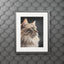 Impresión de Arte de Gato Gris con Marco Passepartout