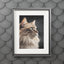 Impresión de Arte de Gato Gris con Marco Passepartout