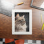 Impresión de Arte de Gato Gris con Marco Passepartout