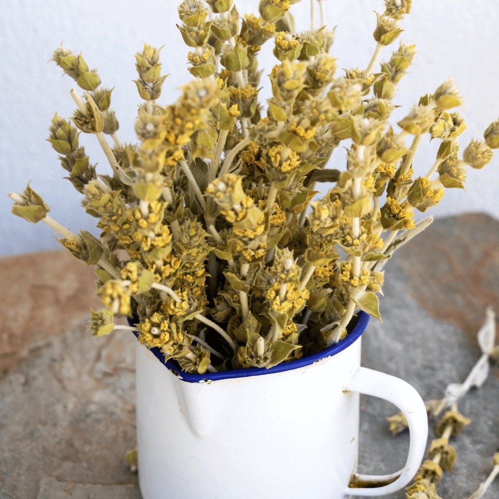 Greek Mountain Tea – Wildcrafted Sideritis scardica from Mt. Olympus (Loose Leaf)