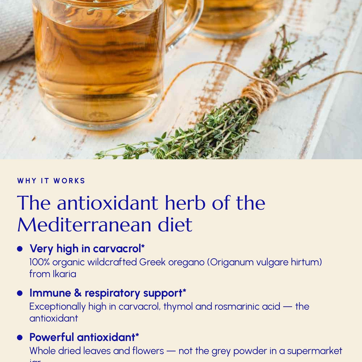 Greek Oregano – Authentic Pot Marjoram from Ikaria