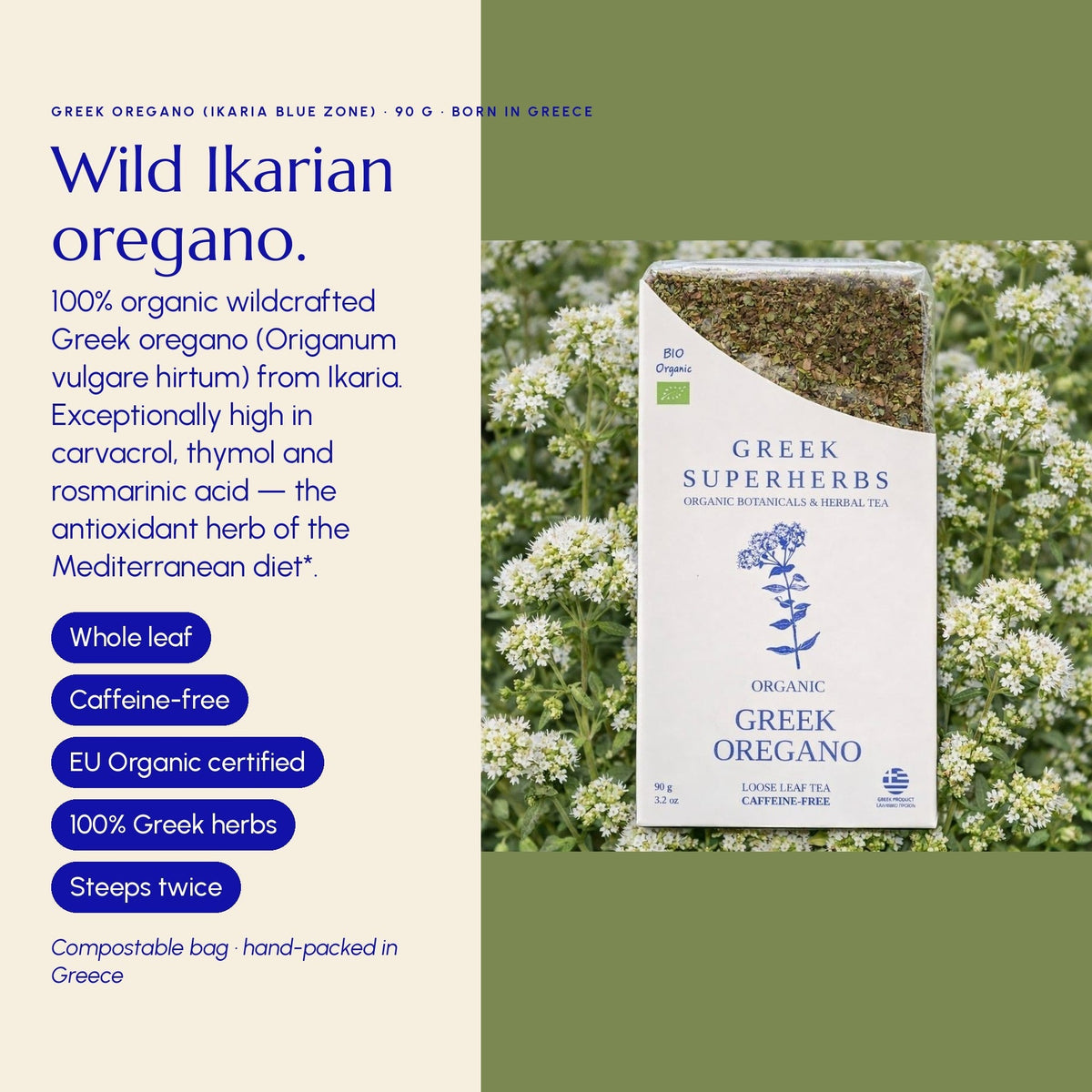 Greek Oregano – Authentic Pot Marjoram from Ikaria