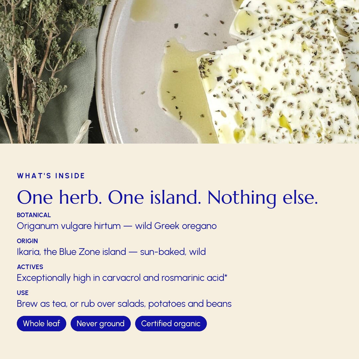 Greek Oregano – Authentic Pot Marjoram from Ikaria