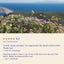 Greek Oregano – Authentic Pot Marjoram from Ikaria